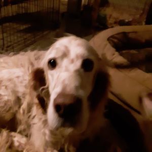 Meet your Posher, Kari